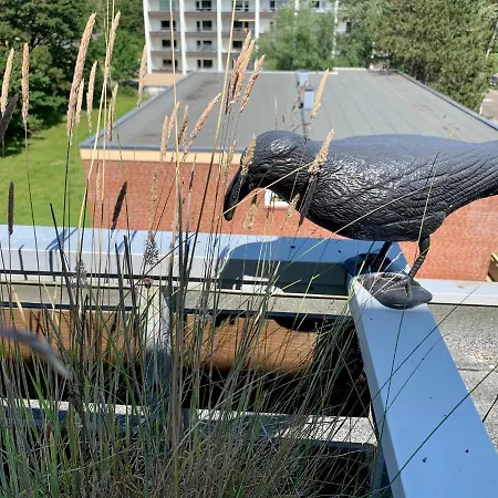 Penthousewohnung 63 Im Haus Anna Sankt Peter-Ording
